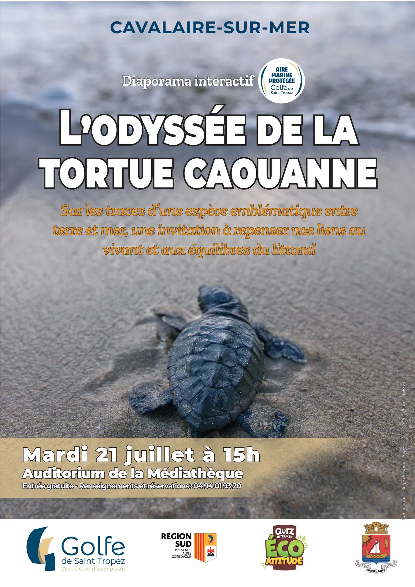 Diaporama interactif : l'Odyssée de la tortue caouanne