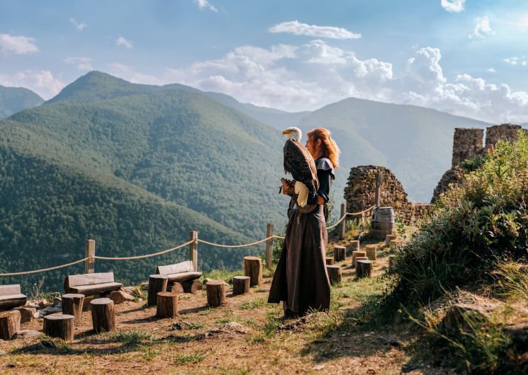 Spectacles de fauconnerie