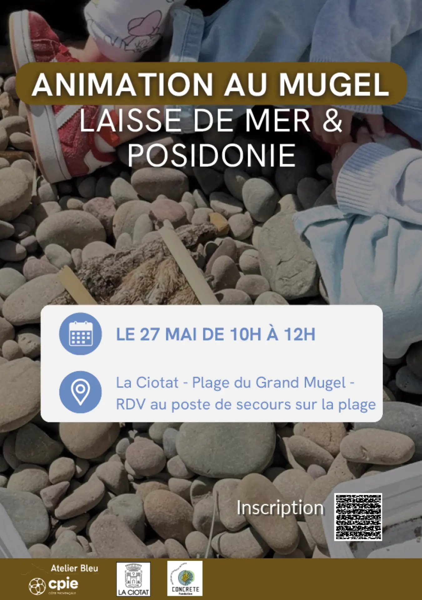 Exploration des trésors naturels dans la laisse de mer et de la posidonie sur la plage du Grand Mugel
