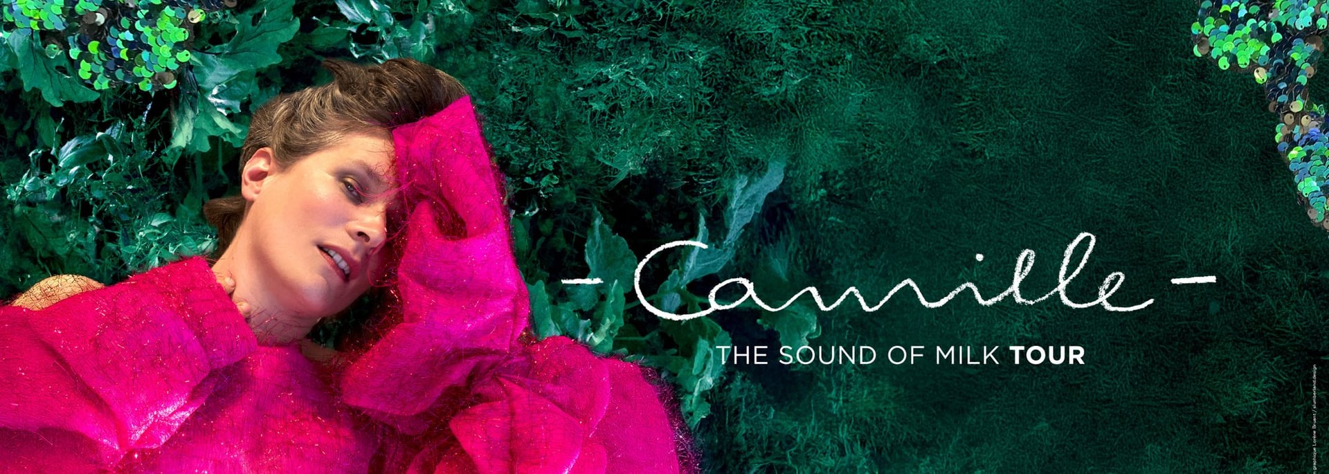 Centre Culturel : Camille