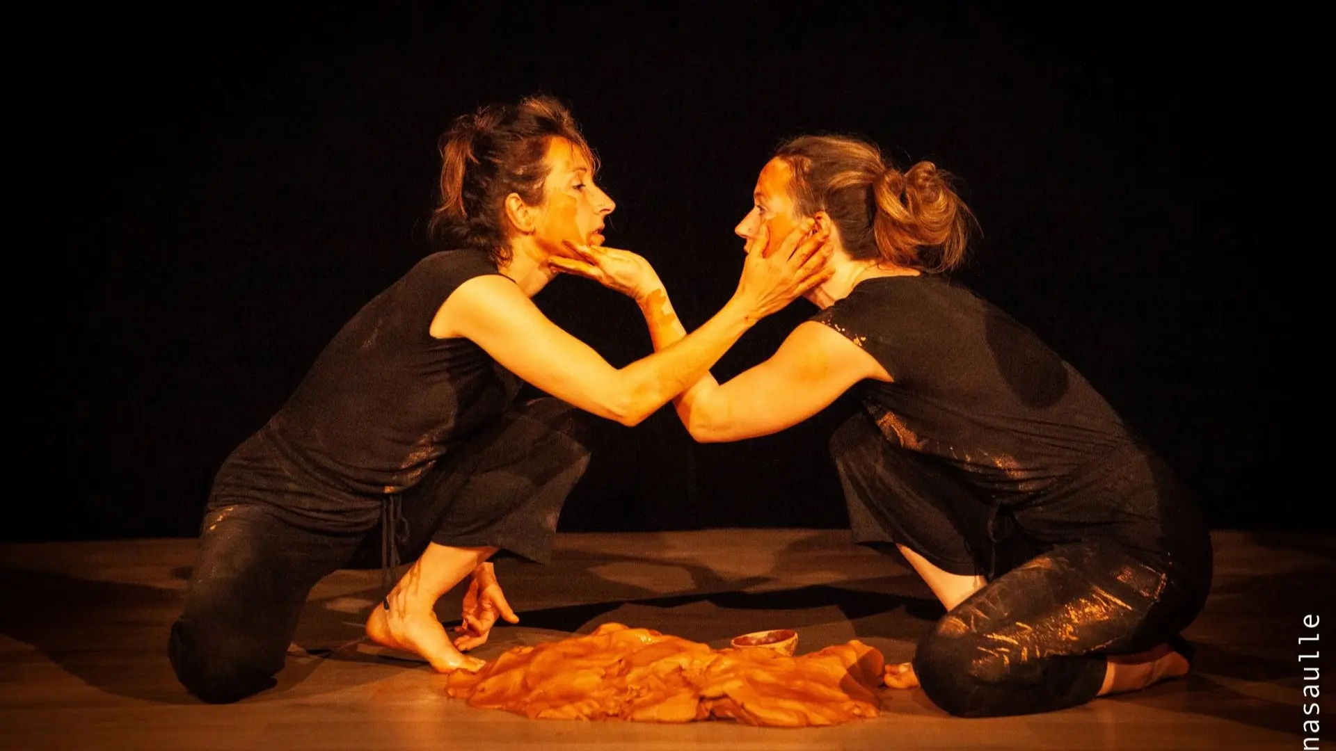 Festival Danses RE-SOURCES - Chair Terre