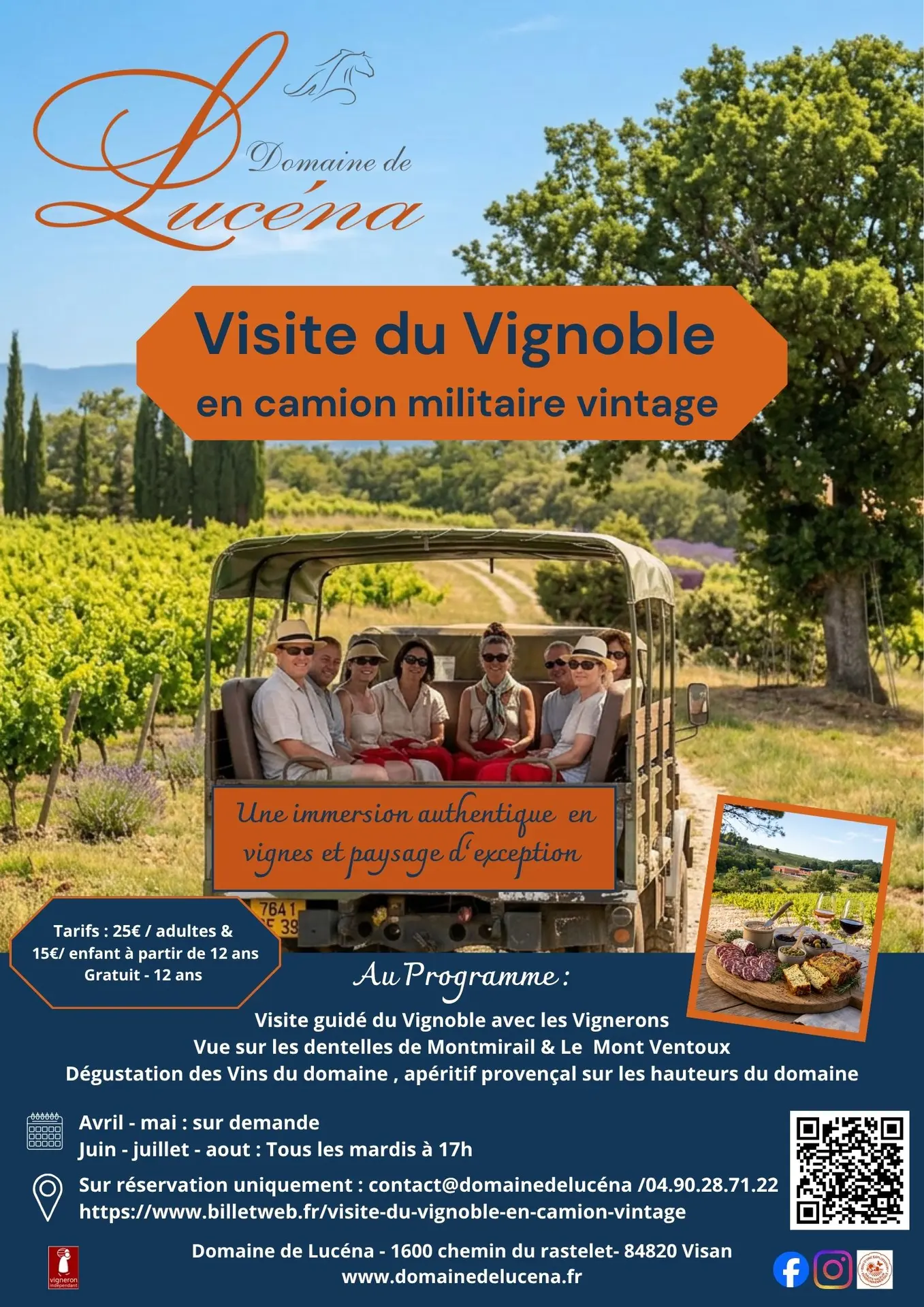 Évasion en Camion Vintage au Cœur des Vignes
