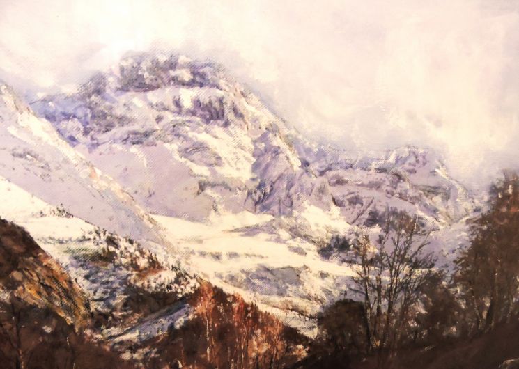 Exposition : « Glaciers, mers et volcan – La conscience du vivant »