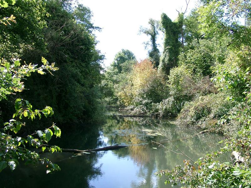 Visite guidée semi-nocturne de la réserve naturelle de la forêt d'Offendorf