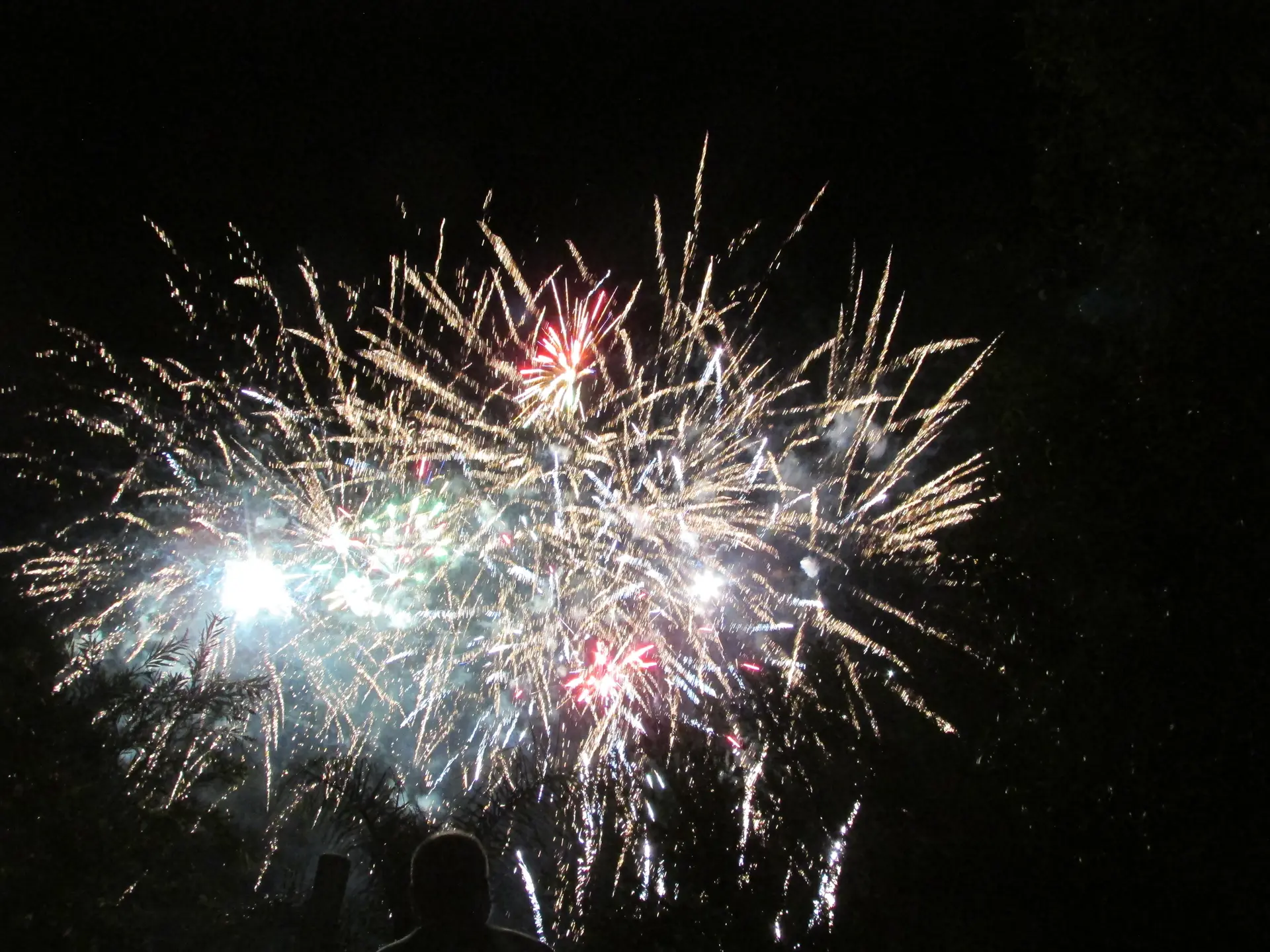 Fête nationale, feu d'artifice et concert : 14 juillet