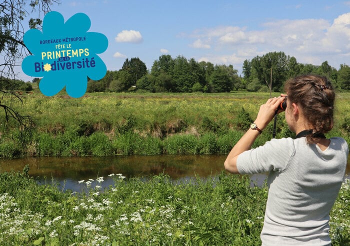 Visite guidée de la Réserve naturelle et atelier origami
