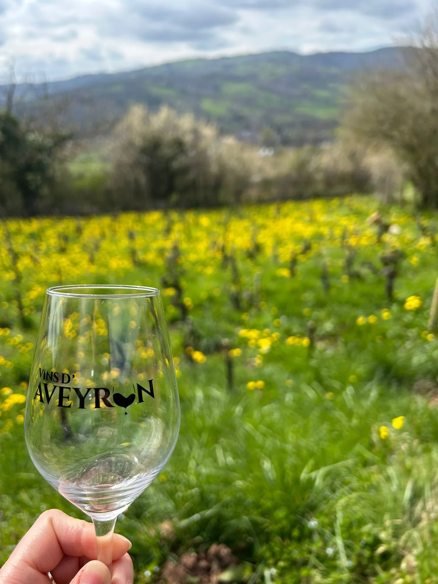 Découverte du Domaine de l’Obre : vignes, cave & dégustation