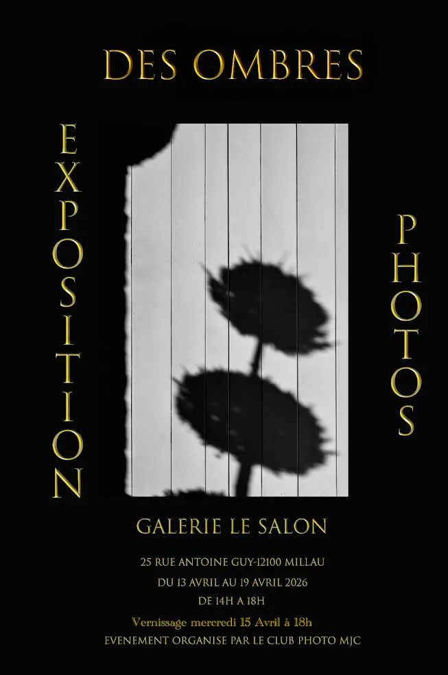 Exposition  » des ombres  » – Galerie le Salon