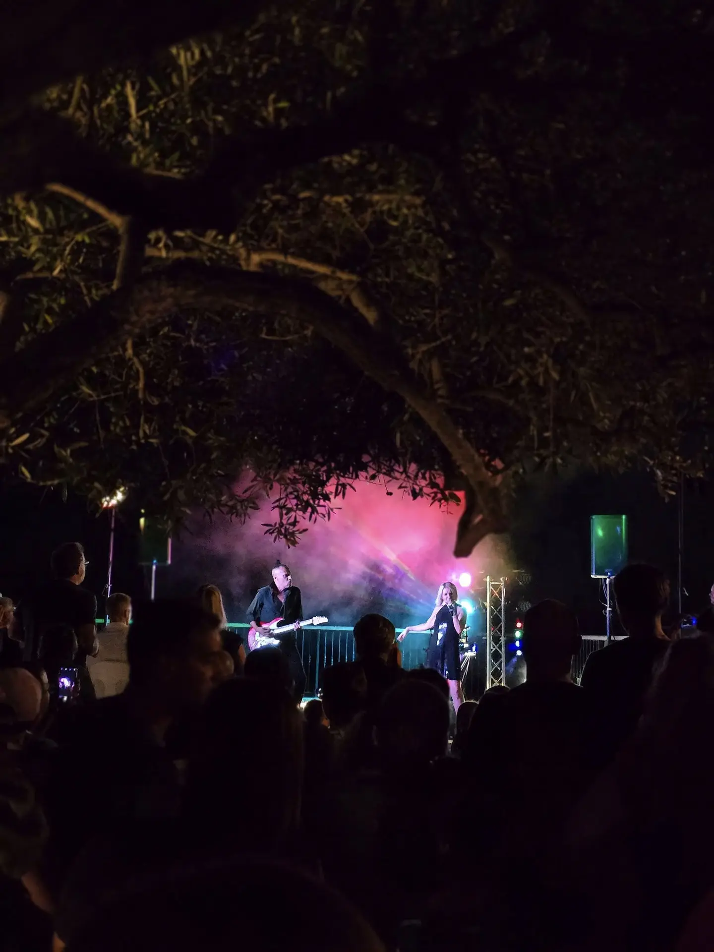 Festival d'été 2026 - Les concerts
