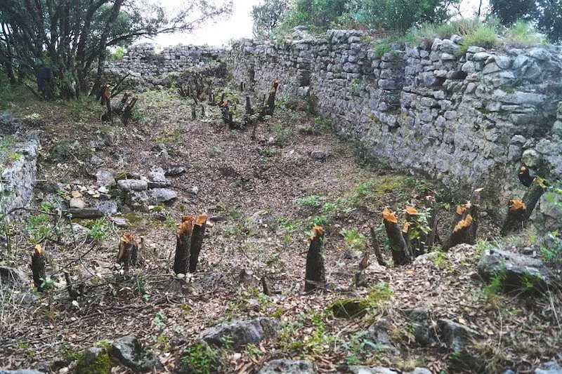 Perchement et habitats fortifiés dans le territoire de la Cité de Fréjus et ses marges au haut Moyen Âge