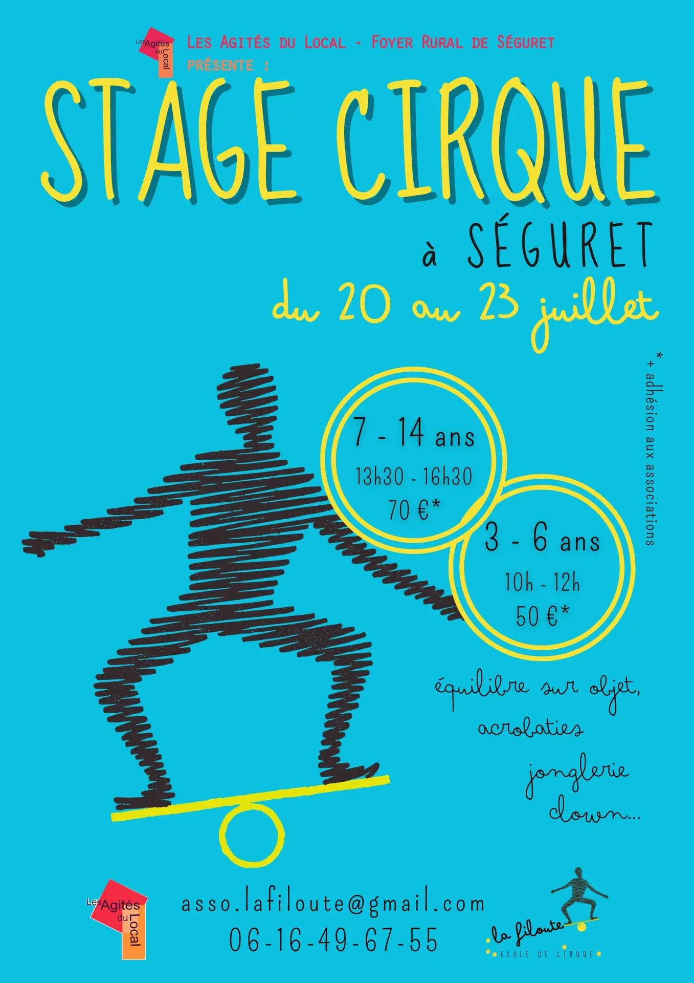 Stage de cirque