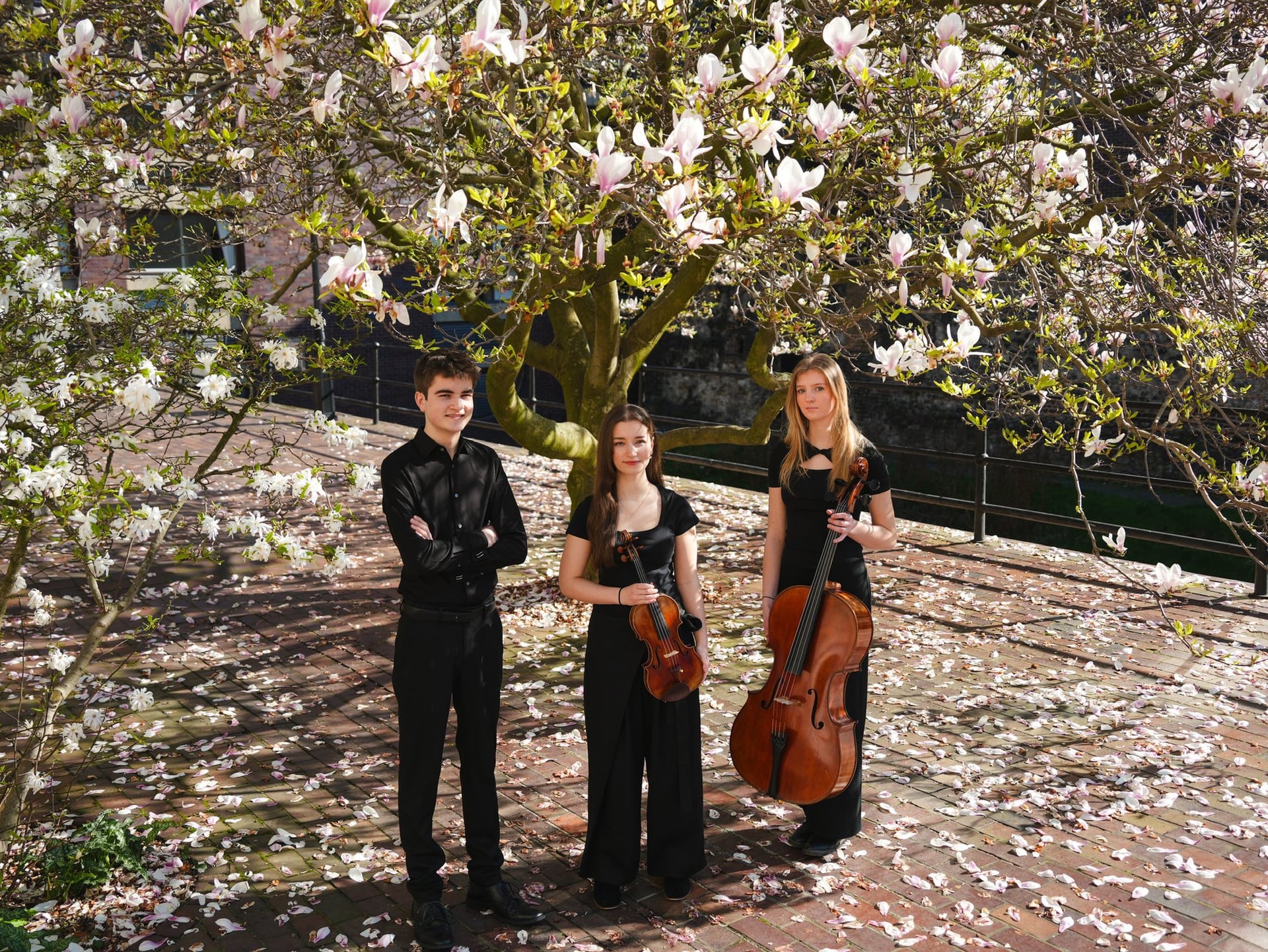 Festival Musical de Saint-Yrieix : Trio Aredius