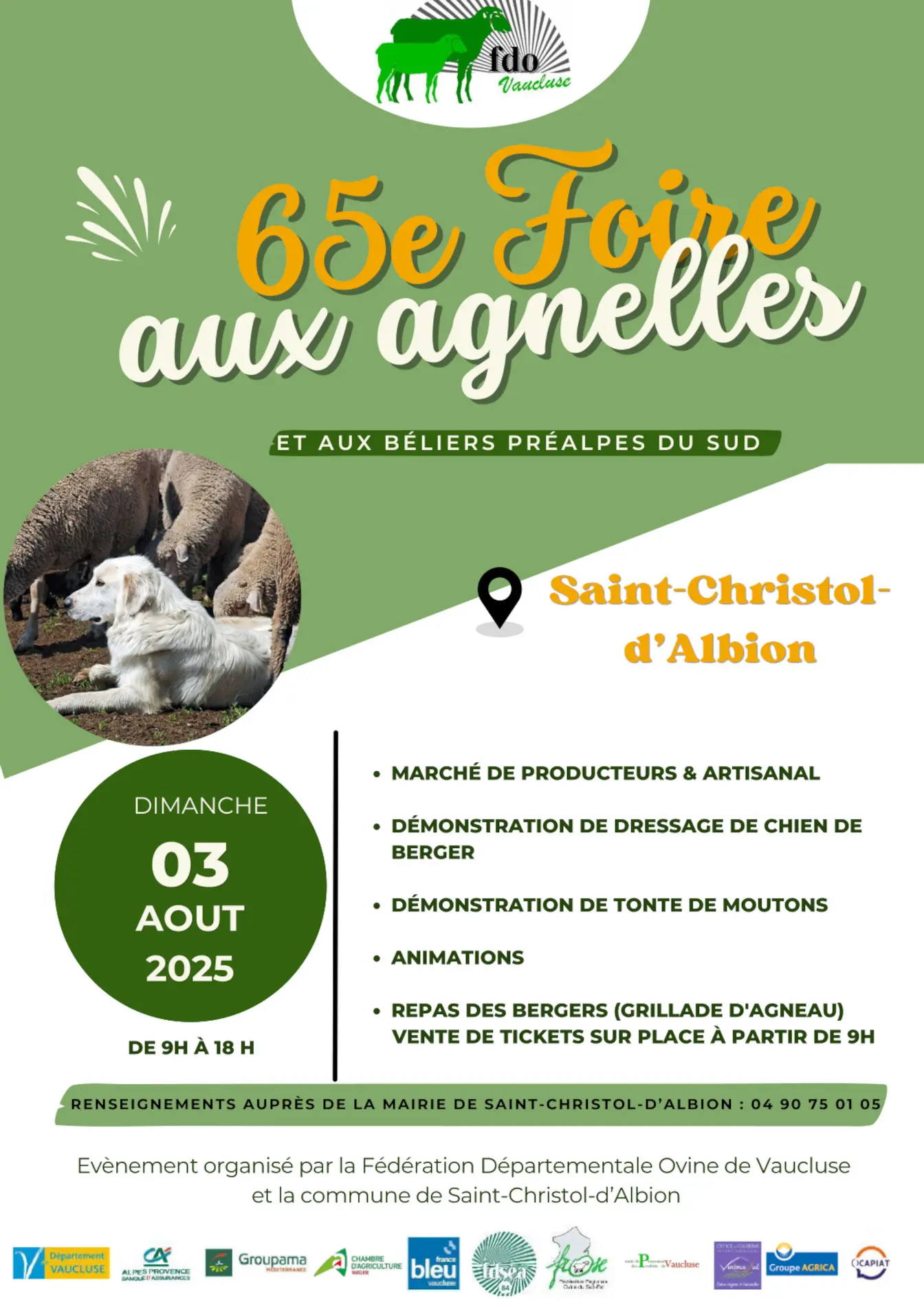 Foire et concours aux agnelles et aux béliers préalpes du Sud