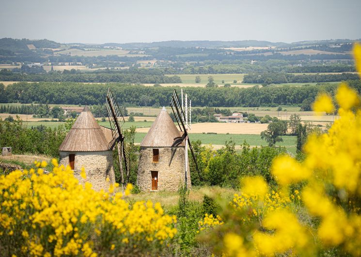 JEP 2026 – LES MOULINS DU MAS-SAINTES-PUELLES