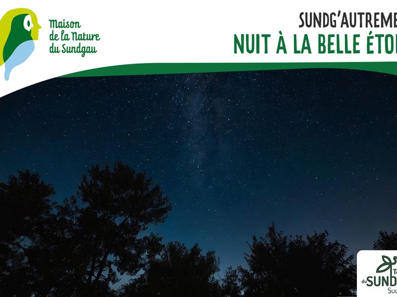 Nuit à la belle étoile