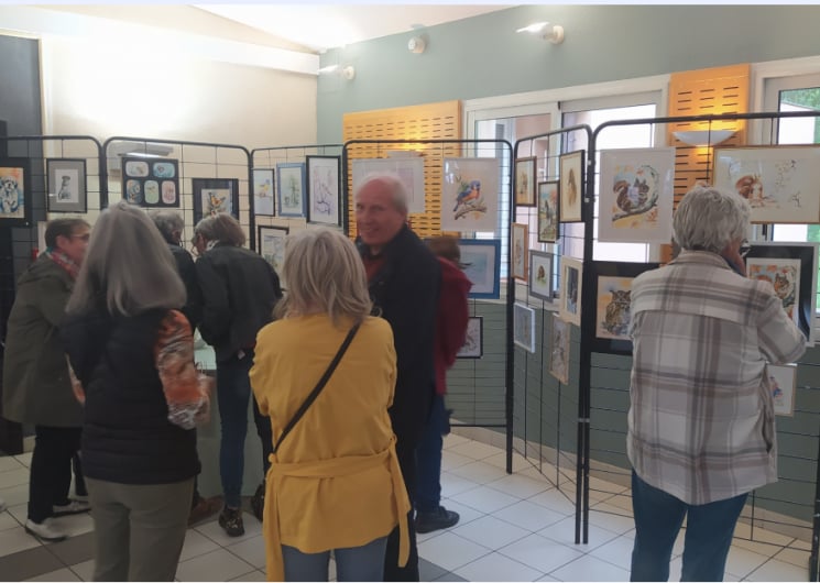 Exposition d’aquarelles