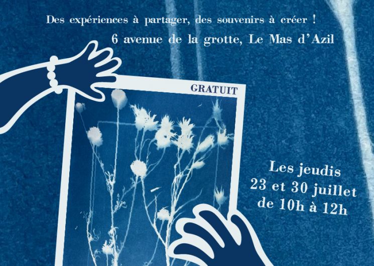 Odyssée curieuse