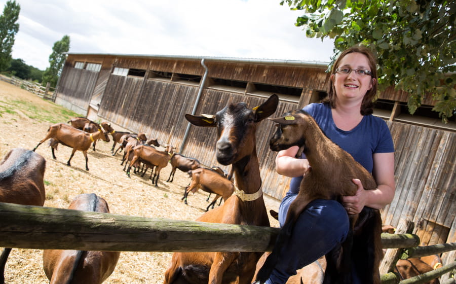 Le Bois des Louvières