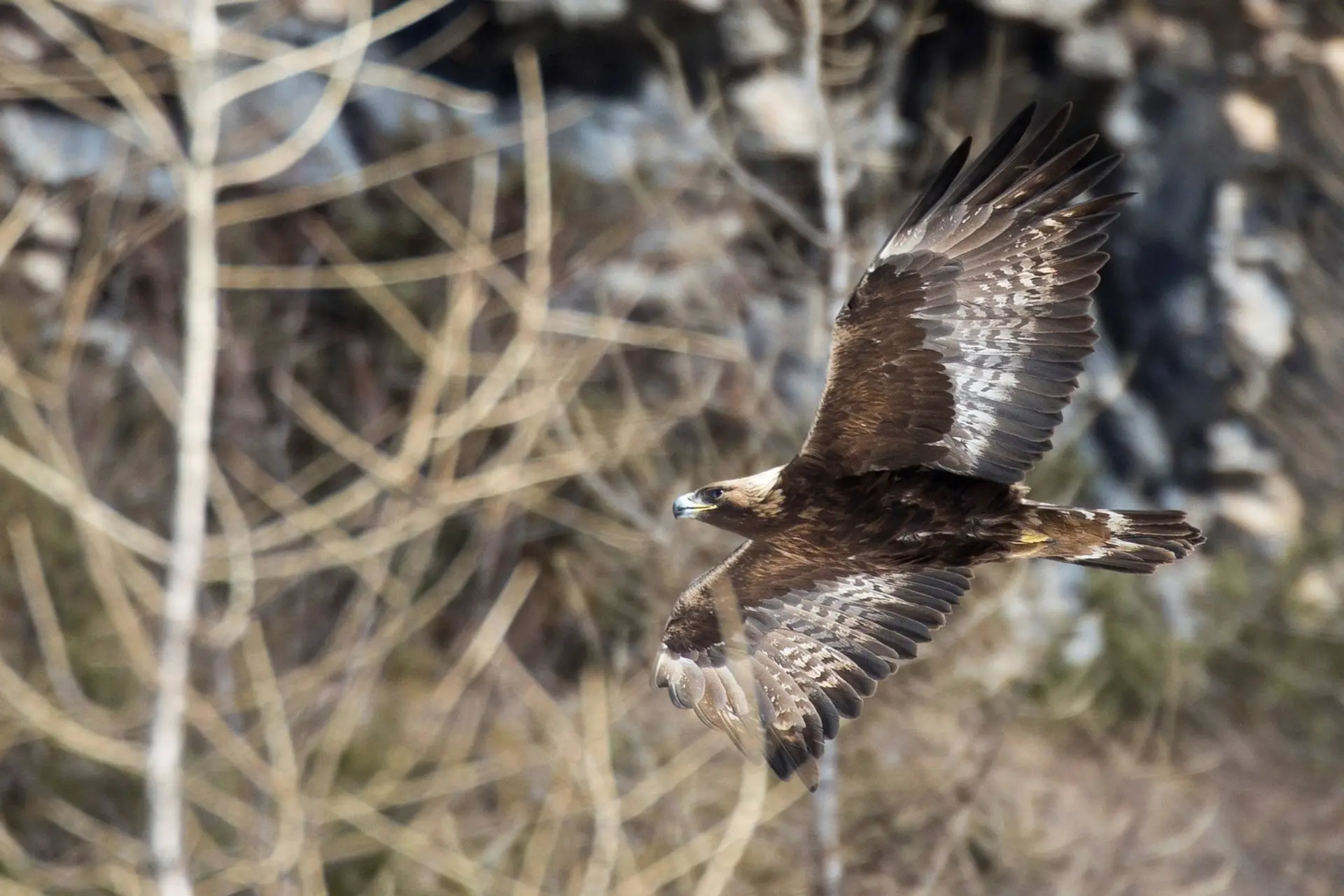 Rencontre avec une animatrice du Parc national des Écrins