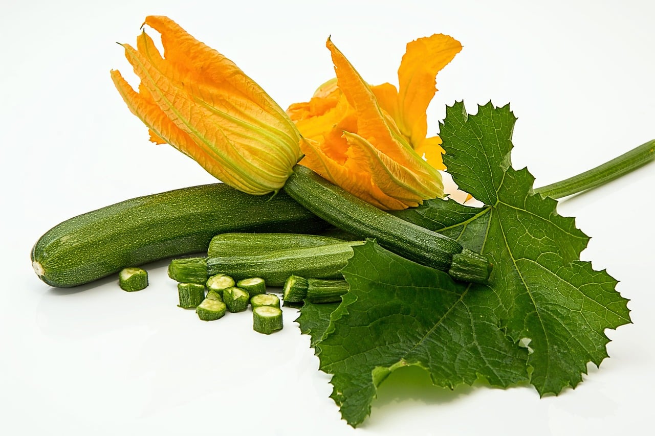 À la découverte de la courge Slàoui