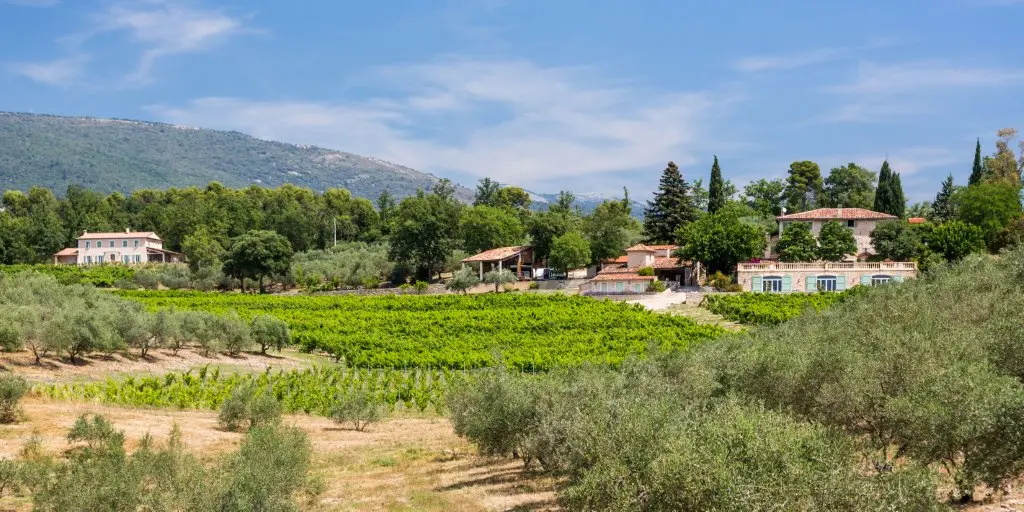 visite de la Passion - cuvée FAMILIALE