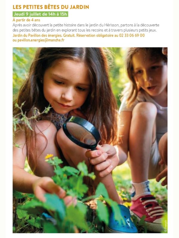 Les petites bêtes du jardin