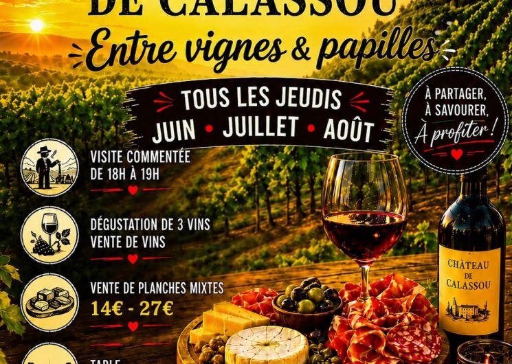 Entre vignes et papilles au Château de Calassou