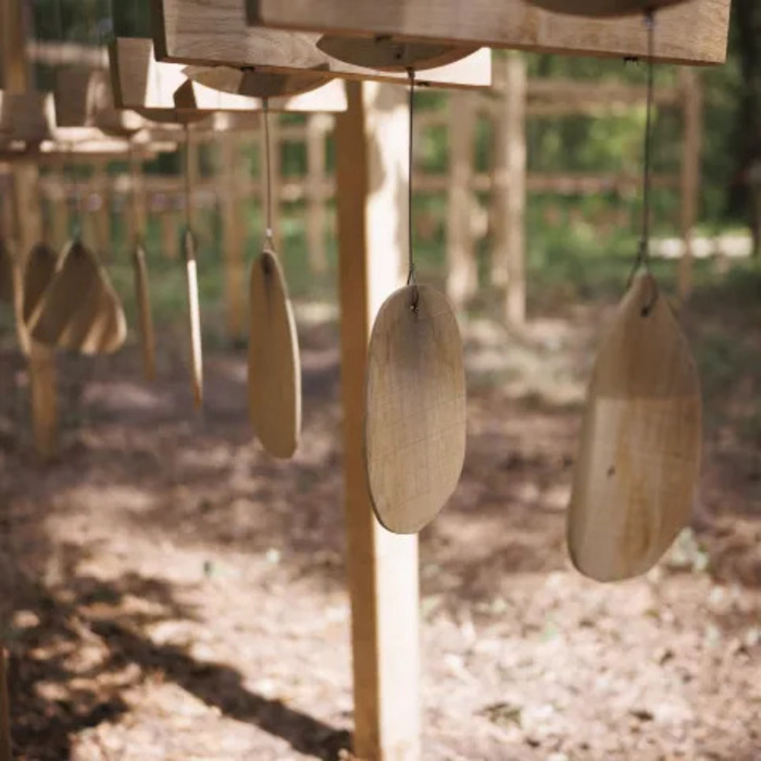 Les 5 sens de la Forêt Monumentale
