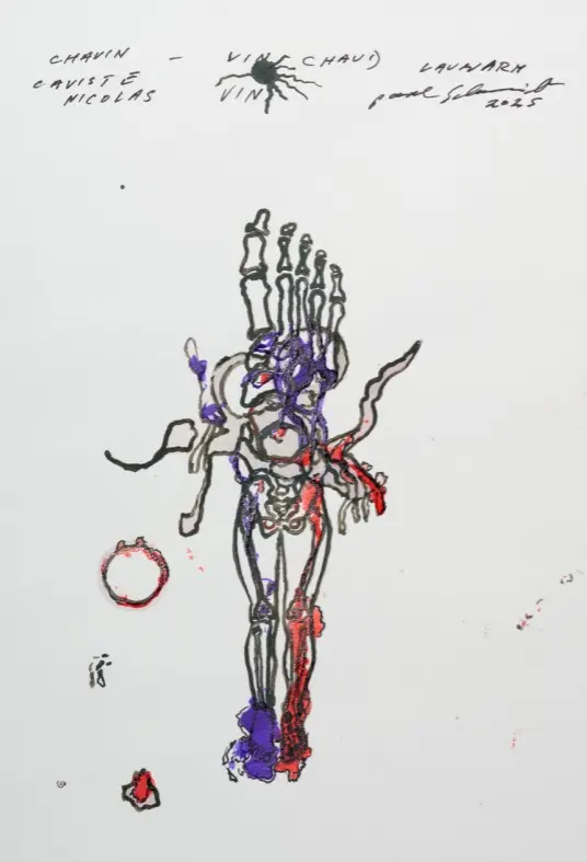 Pavel Schmidt, Anatomie - Anomalie