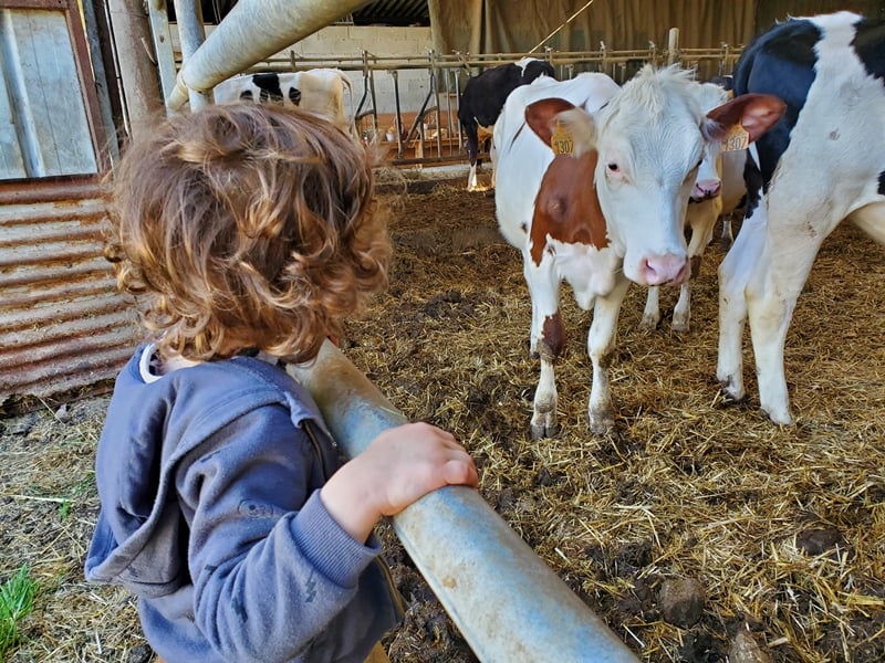 Opération de Ferme en Ferme à la ferme du Maupas