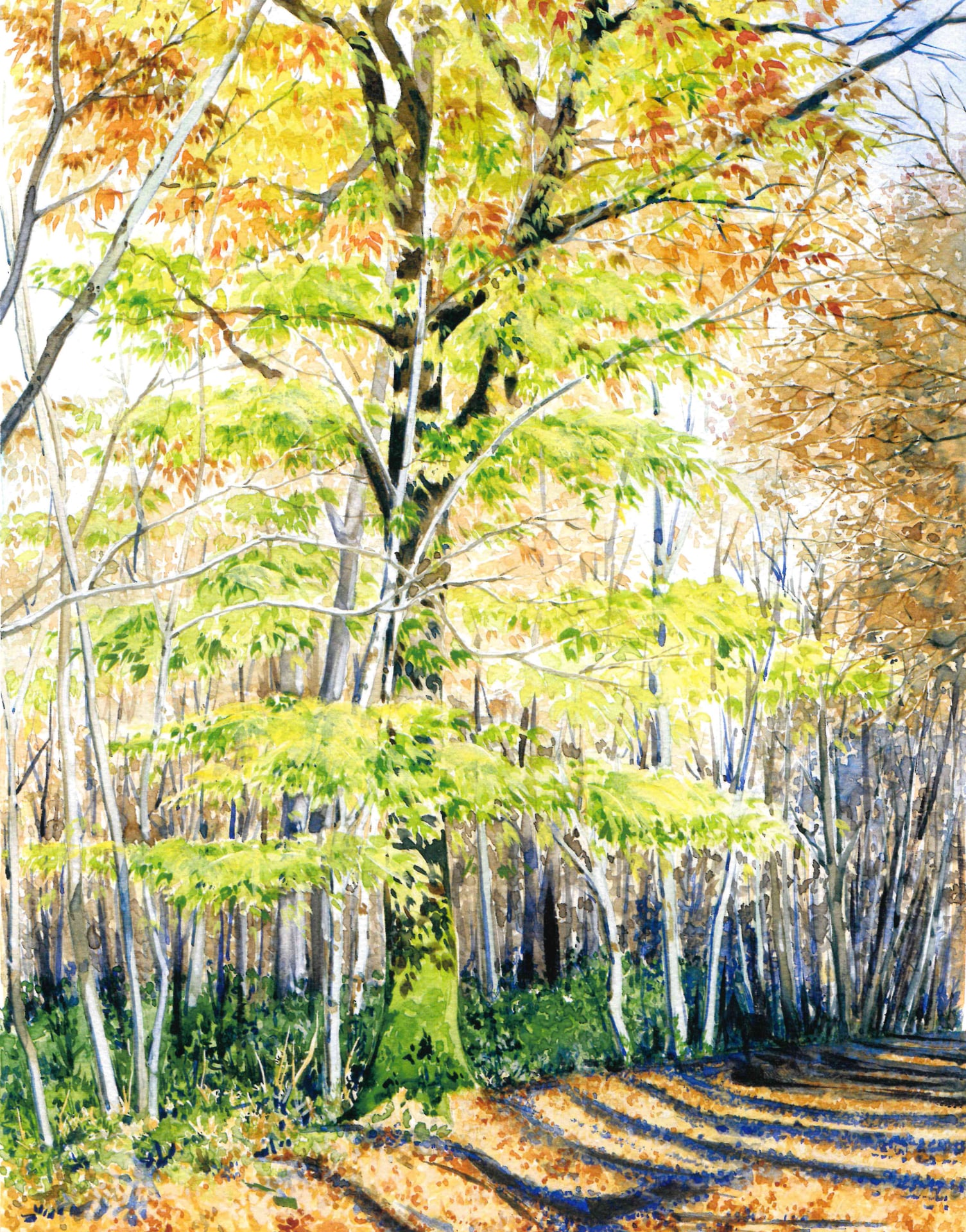 Exposition "Aquarelles" d'Isabelle Gatto-Sandri