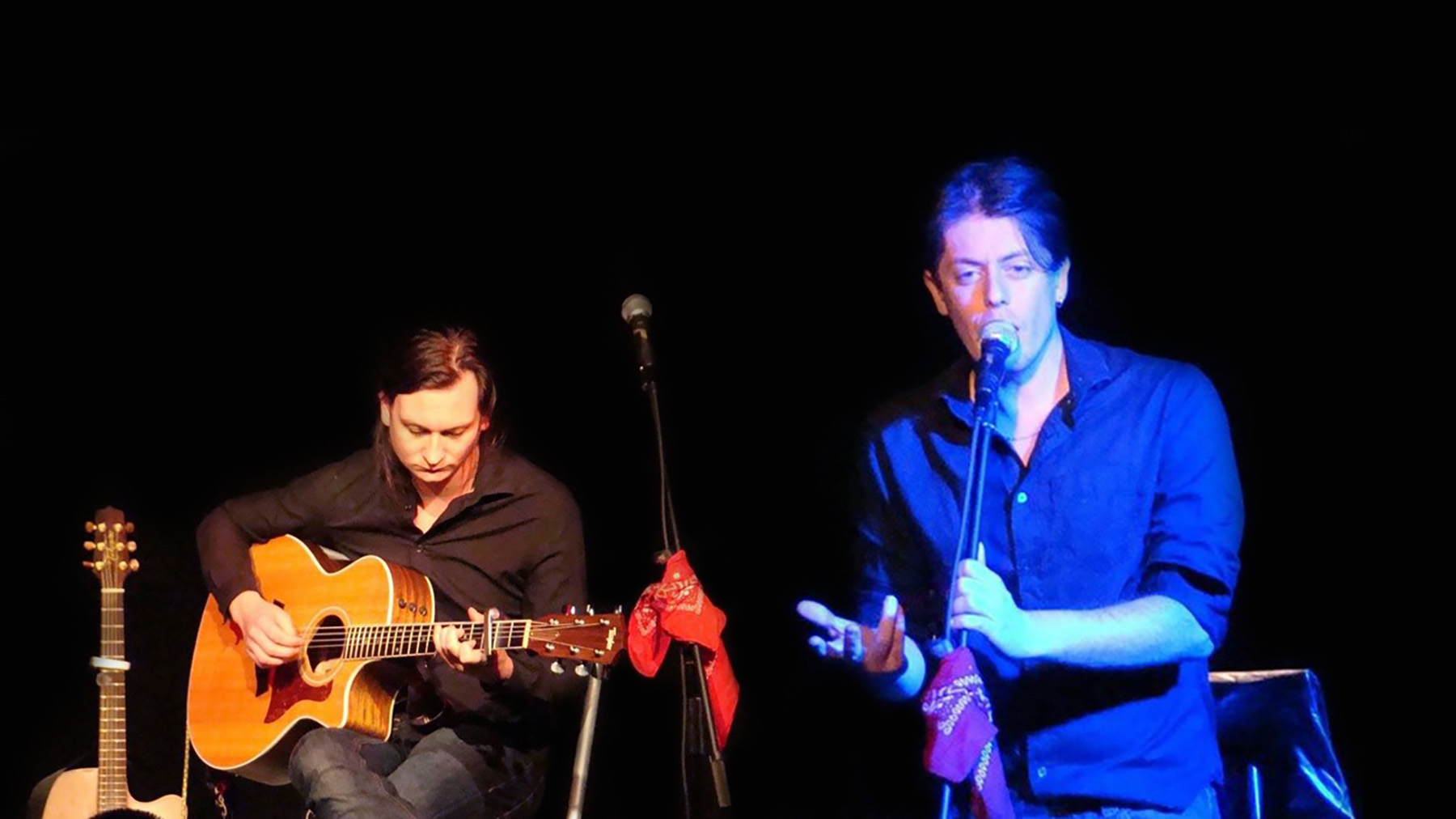 Spectacle : Mon Souchon préféré