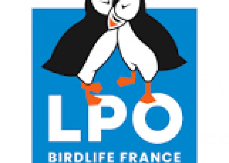 ÉCOUTE ET OBSERVATION DES OISEAUX