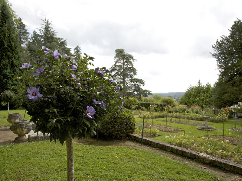 Visite du Parc Calouste Gulbenkian