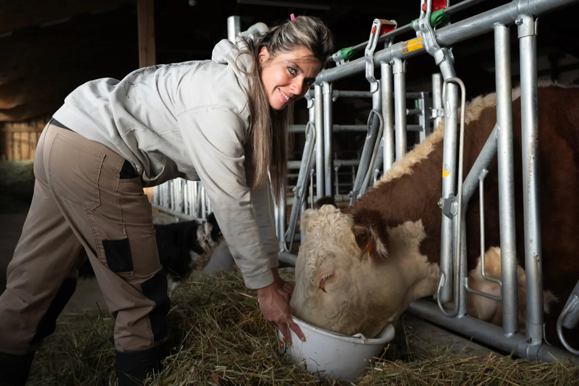 Rencontre culturelle : À la découverte du métier d'éleveuse bovin