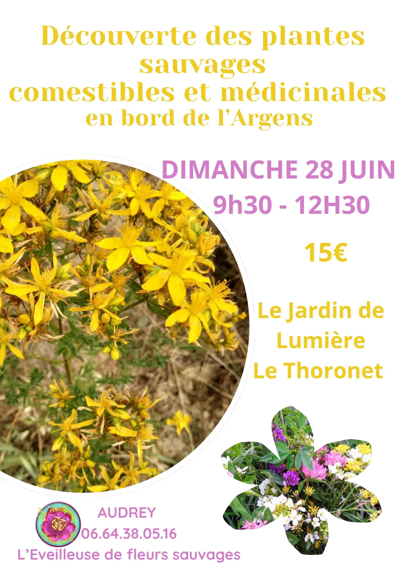 Découverte des plantes sauvages comestibles et médicinales en bord de l'Argens