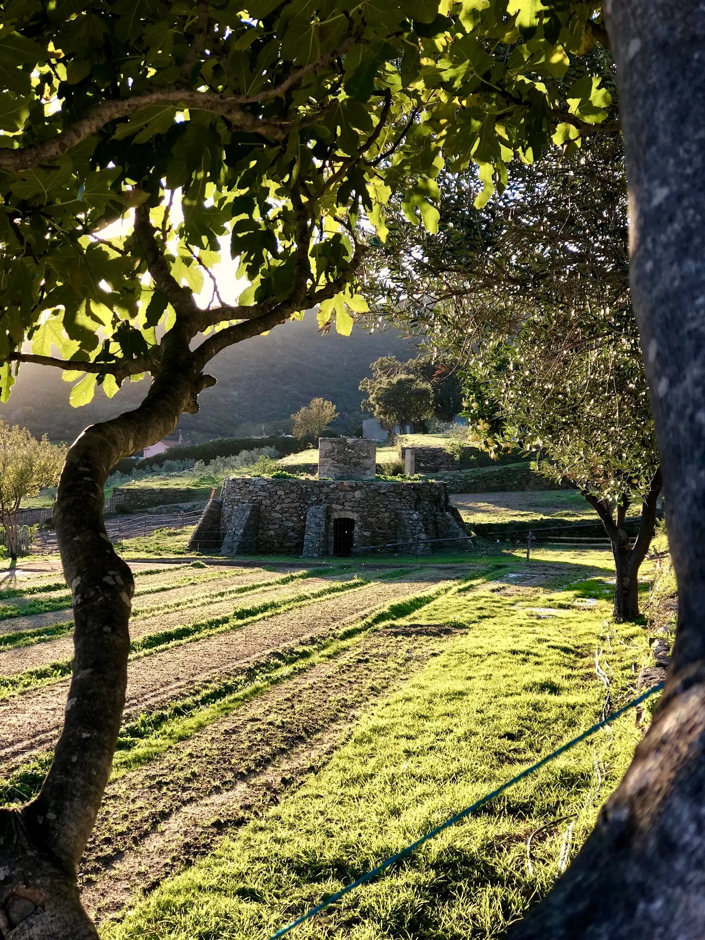 La Noria de Saint-Clair