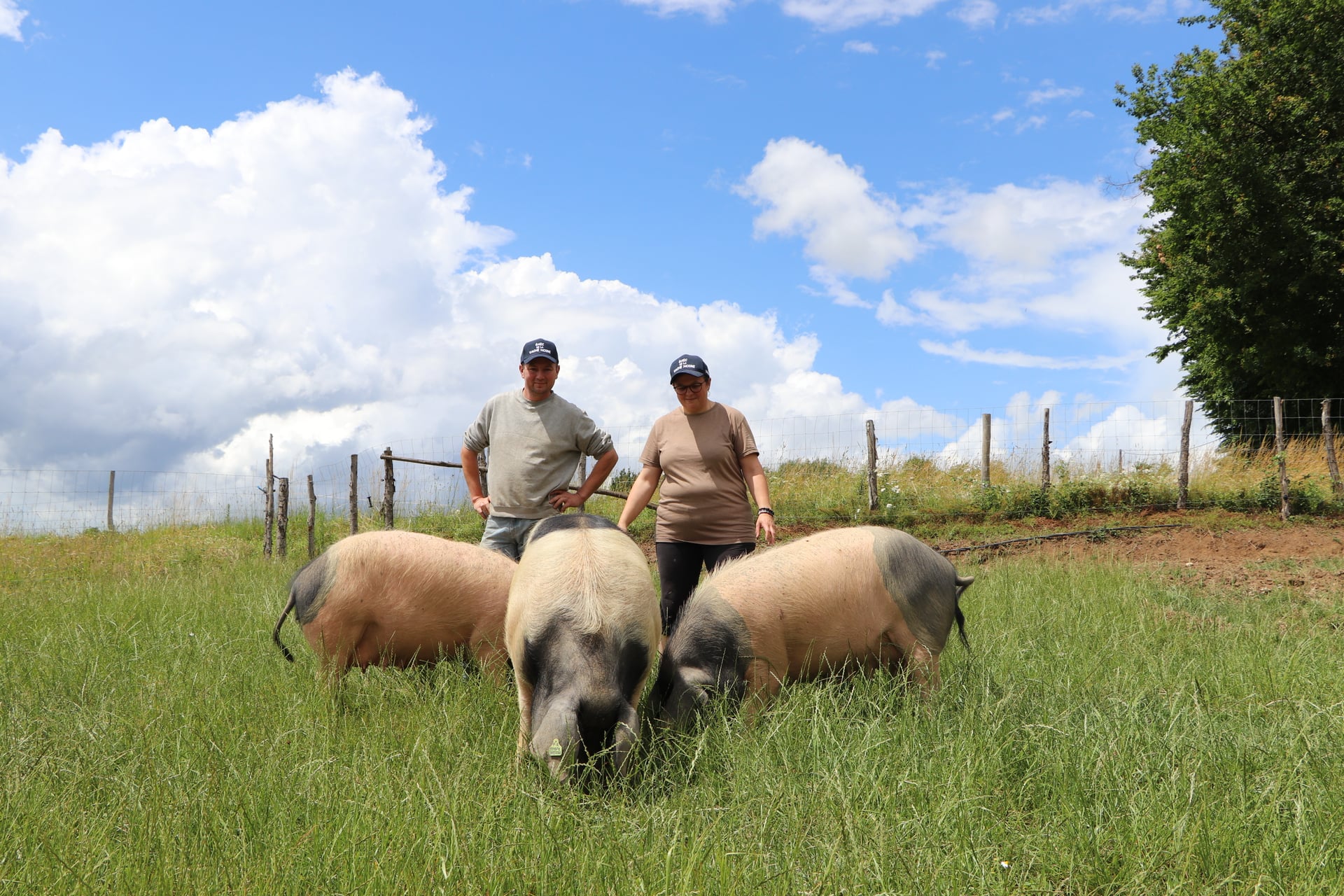 GAEC DE LA VACHE NOIRE - ÉTÉ À LA FERME -