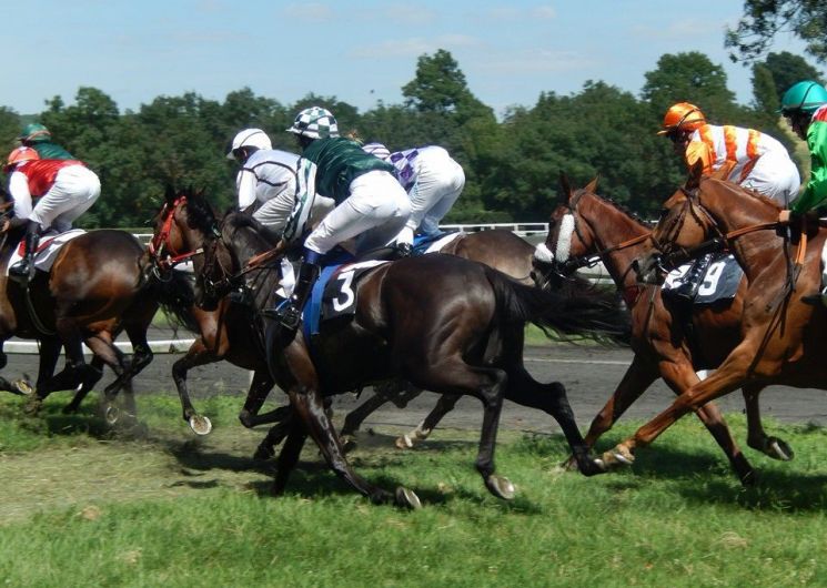 Courses hippiques à l’hippodrome de Baron