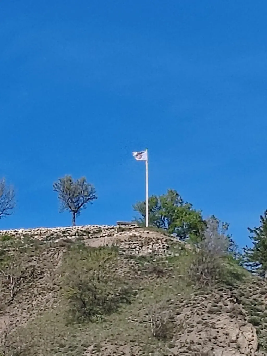 JEP : Visite du chantier de sauvegarde du château des Flotte à La Roche des Arnauds