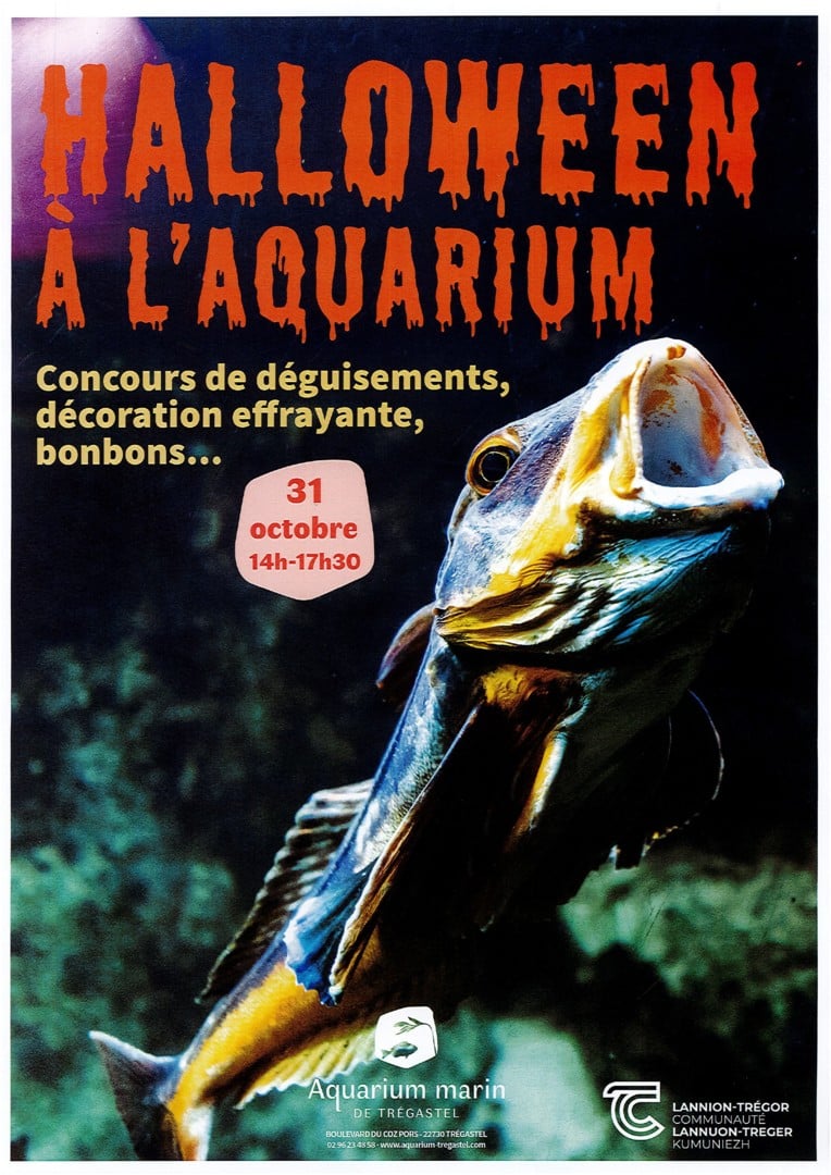 Halloween à l’Aquarium