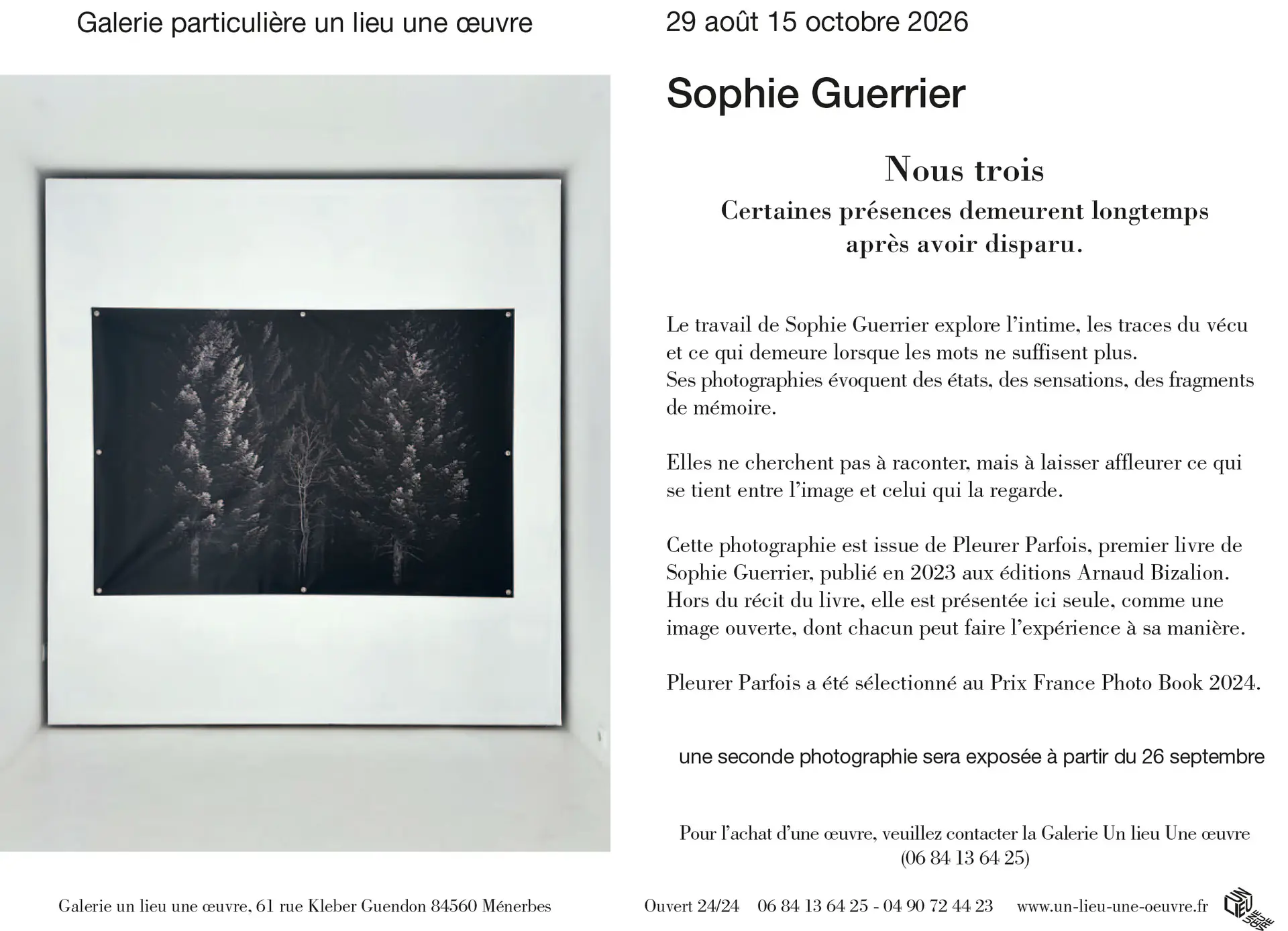 La galerie un lieu une œuvre expose - Sophie Guerrier