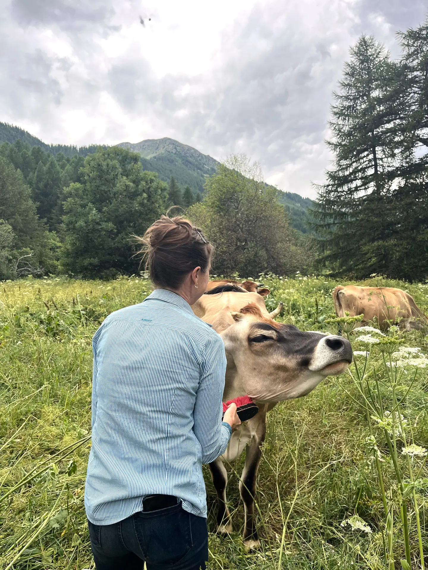 Goûter à la Ferme de la Clarée