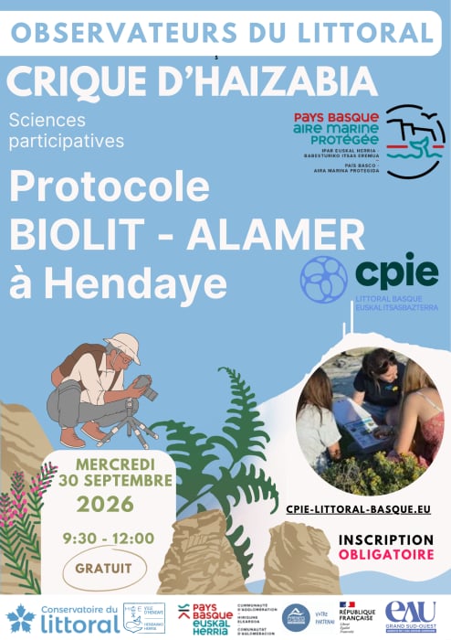 Devenez observateur du littoral basque et découvrez la richesse de la biodiversité