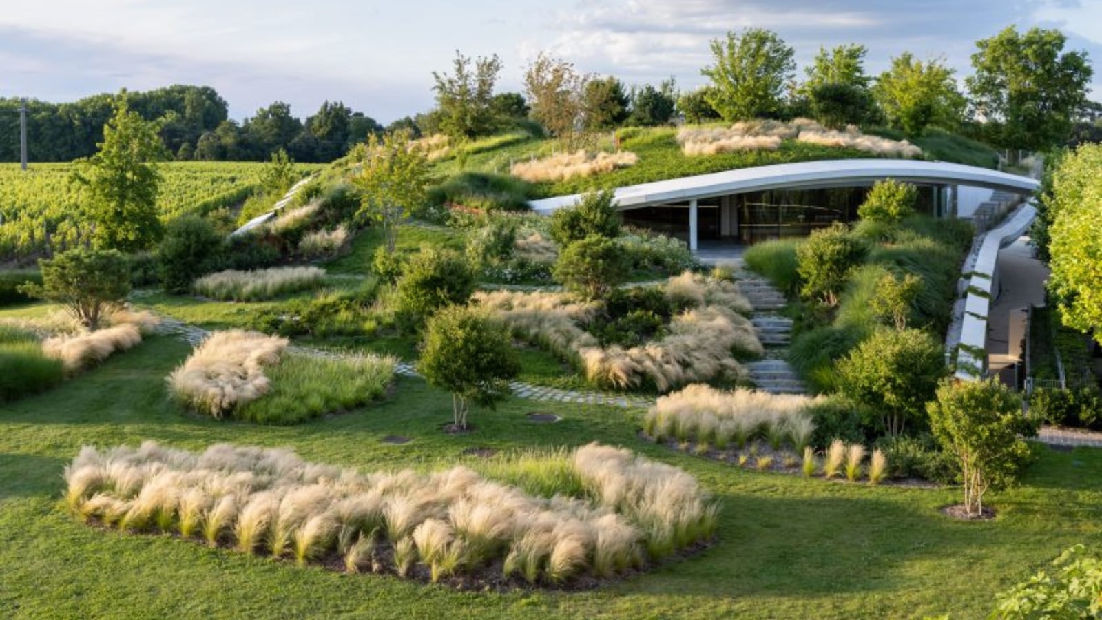 Soirée immersive au Château Haut-Bailly : visite des chais, dégustation et dîner