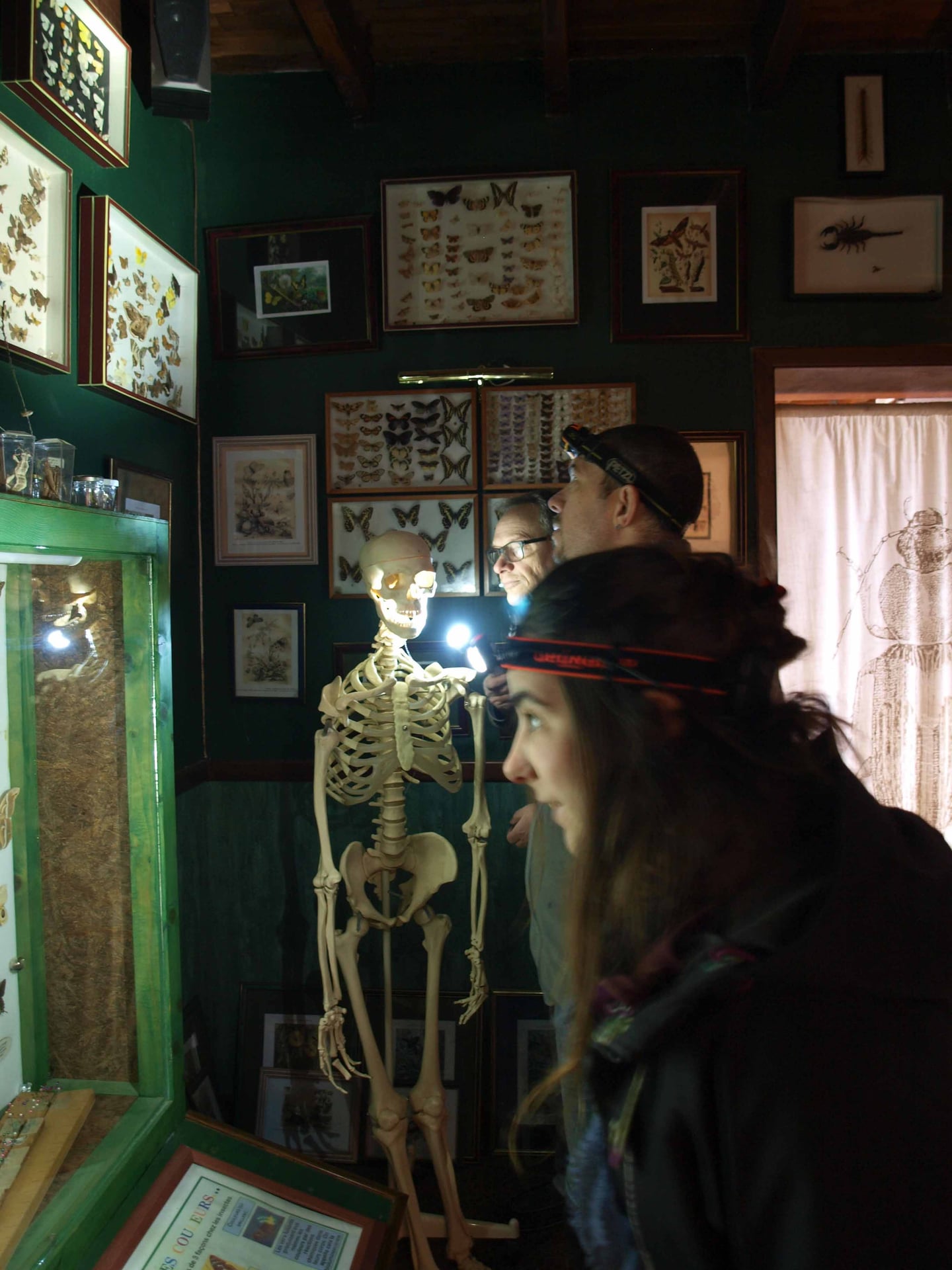 La nuit des musées à la Cité des Insectes