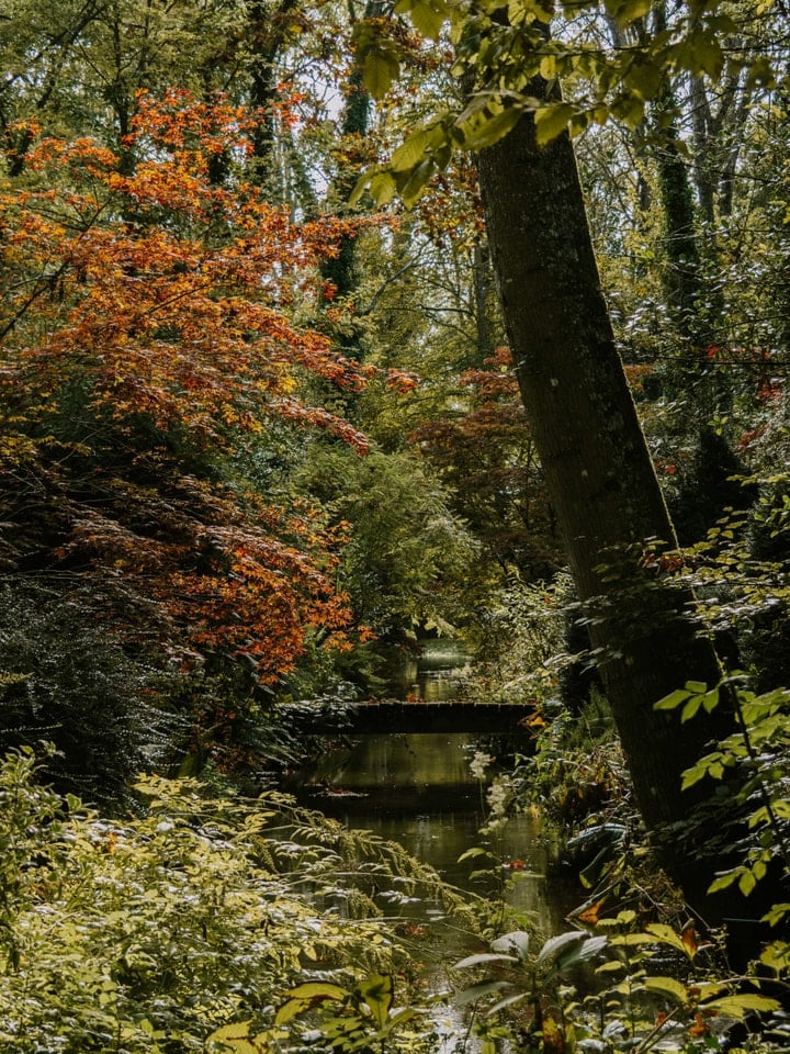 Visite libre de l’Arboretum d’Ilex
