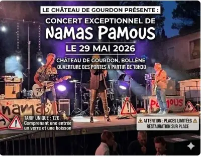 Concert des Namas Pamous