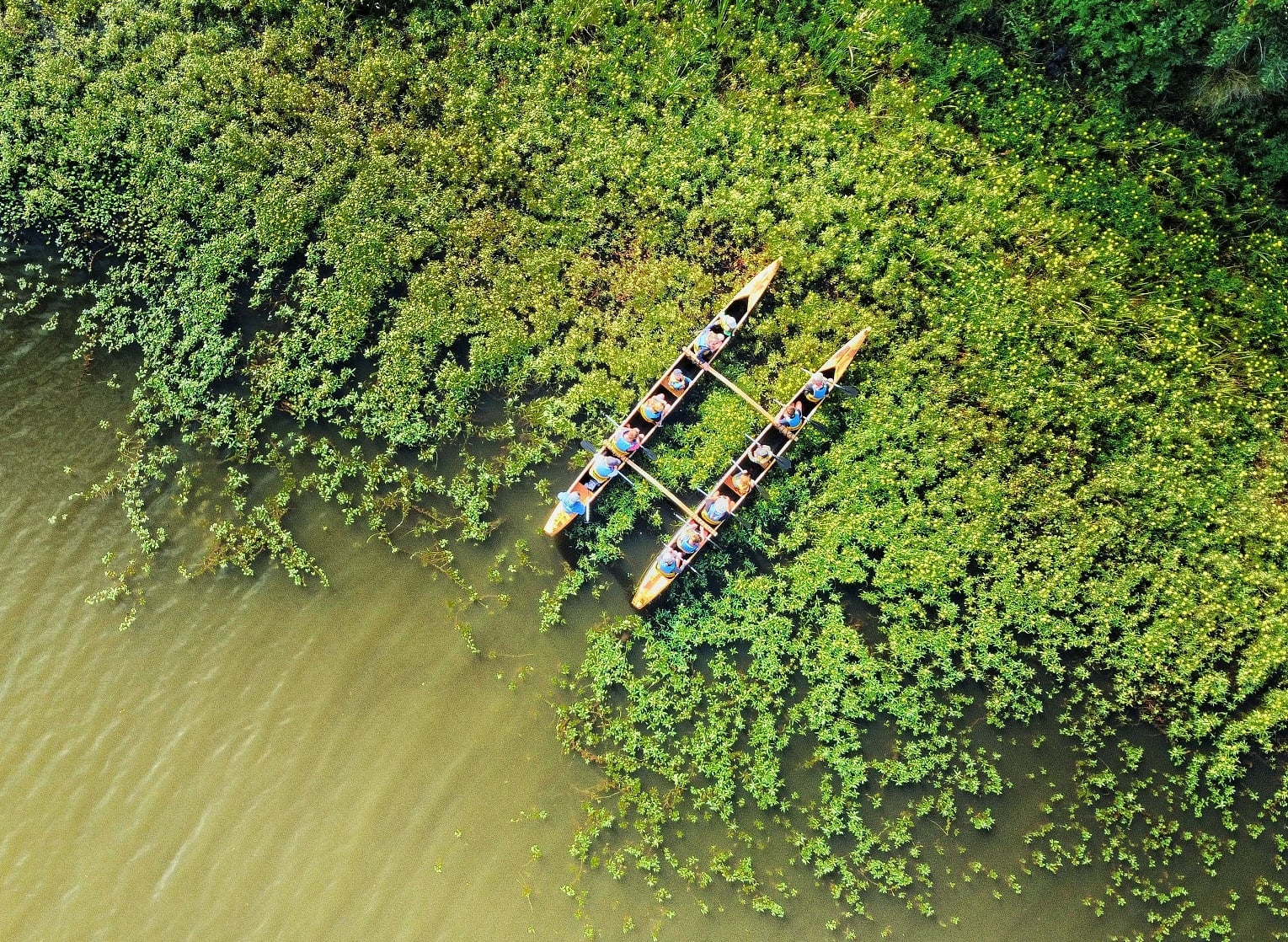 Balade nature en pirogue hawaïenne