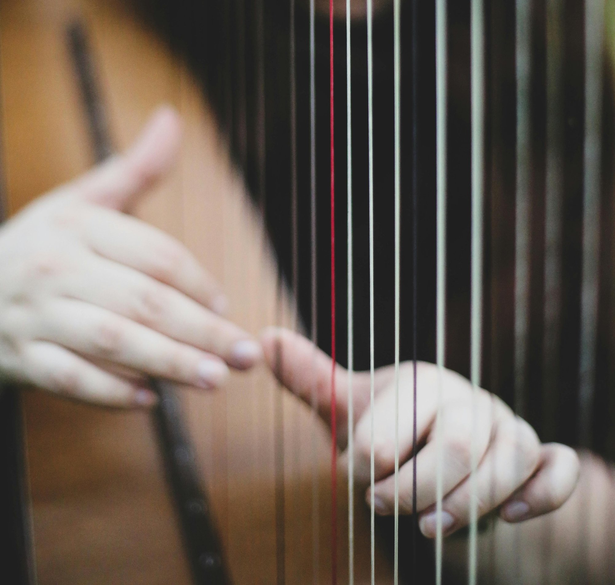 Dis-moi Dix mots / Concert